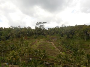 Bali (160)